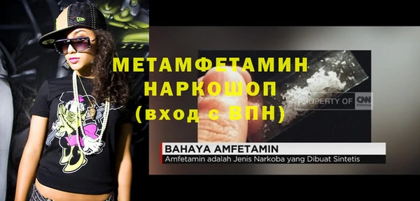 ГАЛЛЮЦИНОГЕННЫЕ ГРИБЫ Касимов