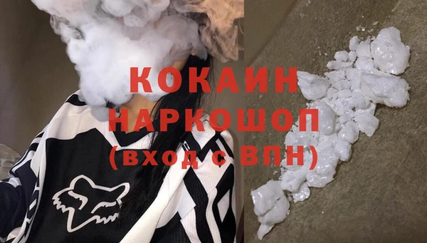 ГАЛЛЮЦИНОГЕННЫЕ ГРИБЫ Касимов