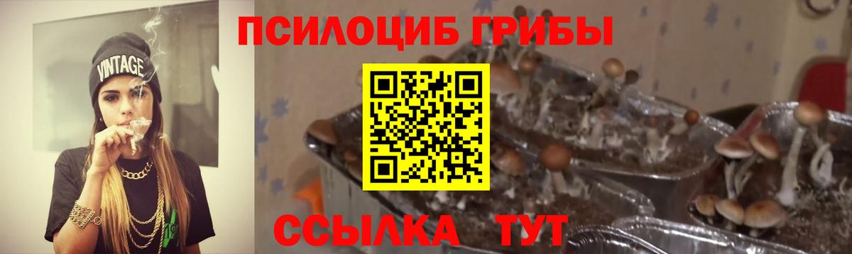 Галлюциногенные грибы Psilocybine cubensis Усинск
