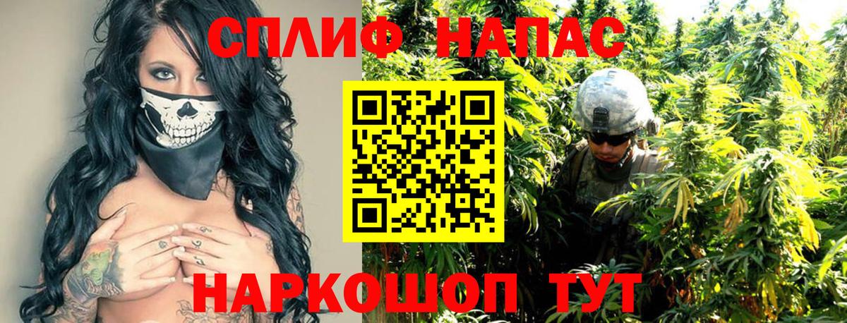 Бошки Шишки MAZAR Усинск
